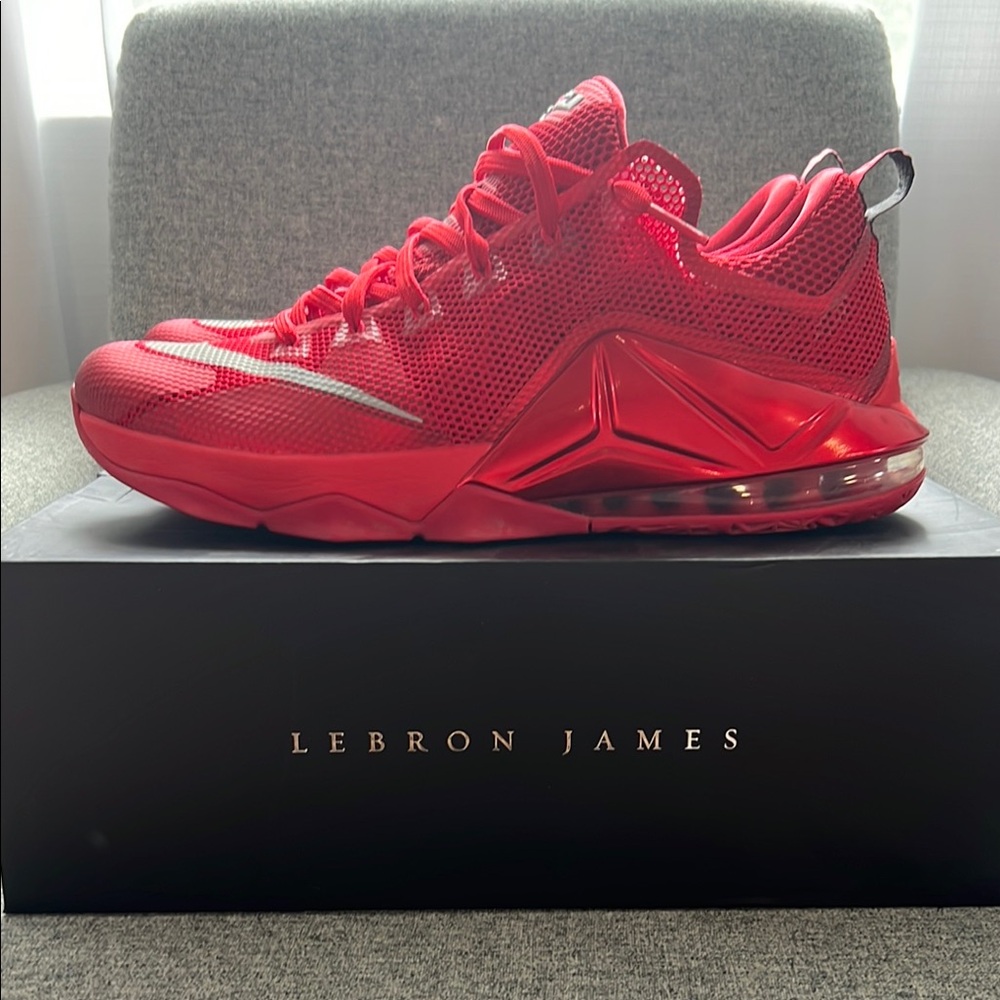 Men’s Nike size 15 LeBron 12 low